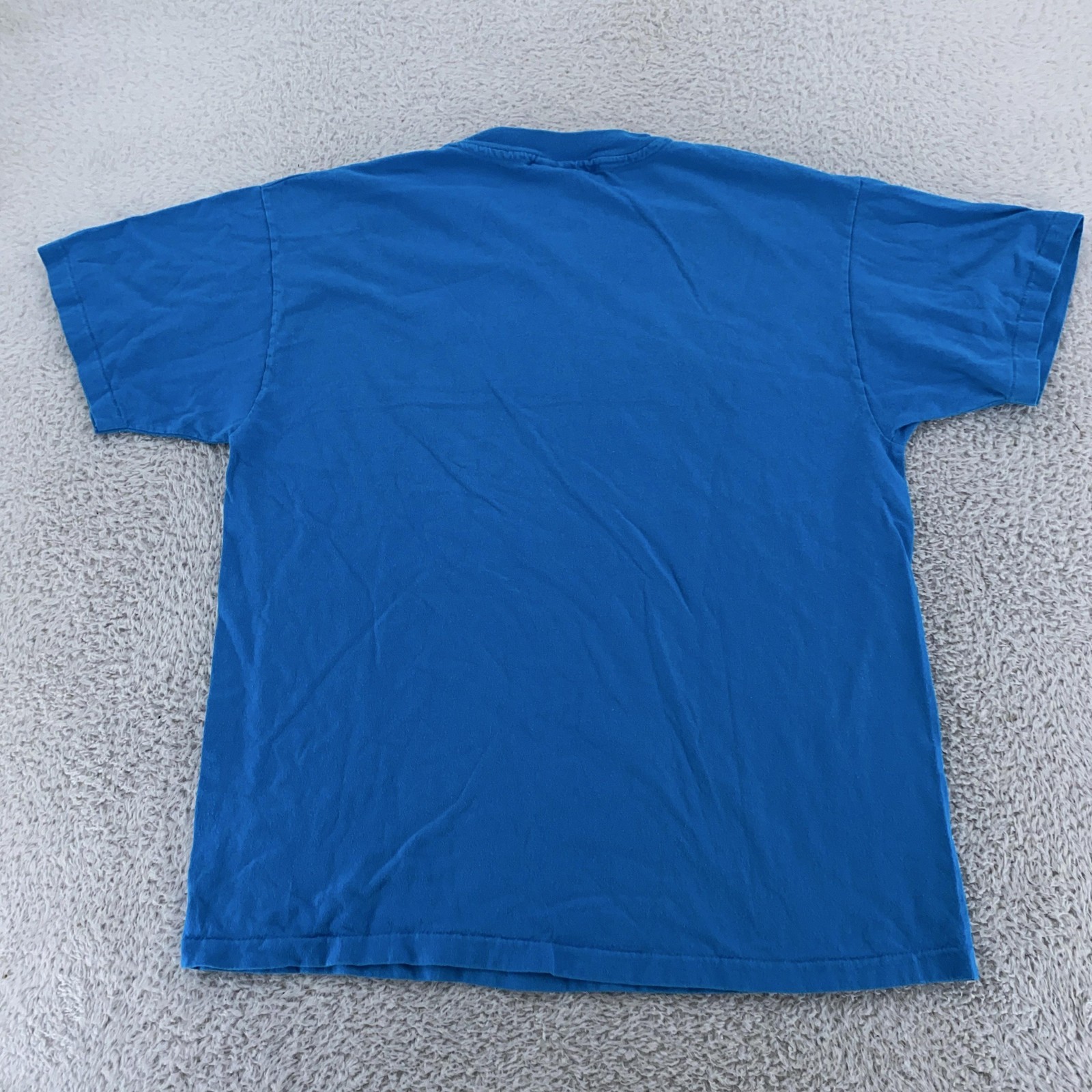 Vintage Arkansas The Natural State T-Shirt Mens Medium Hanes Beefy-T USA 90s