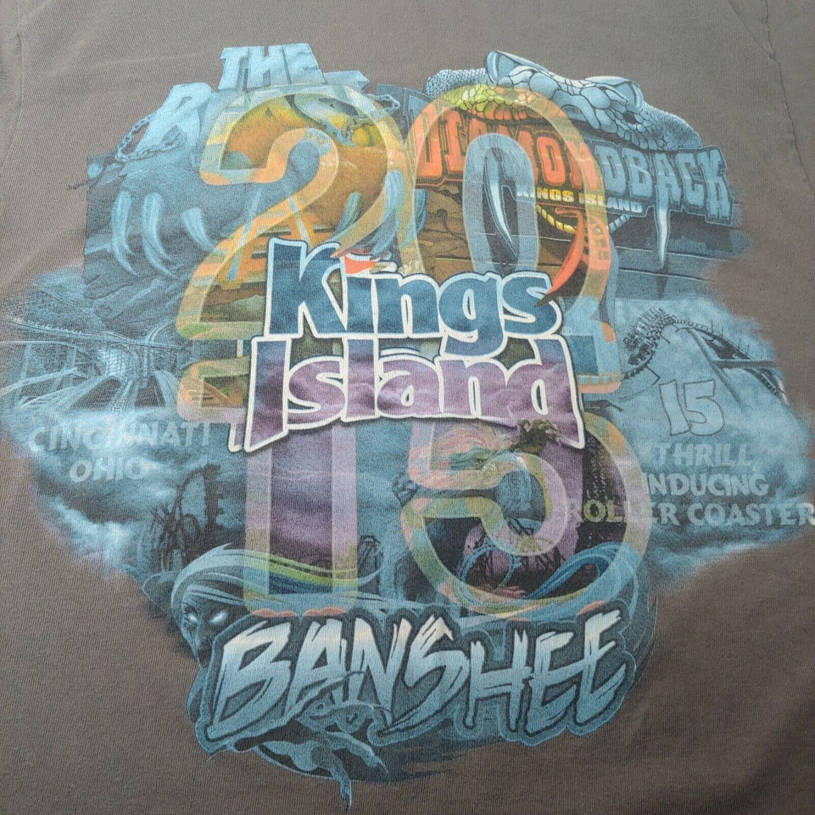Kings Island Banshee Shirt Small Gray Roller Coaster Ohio Amusement Park READ