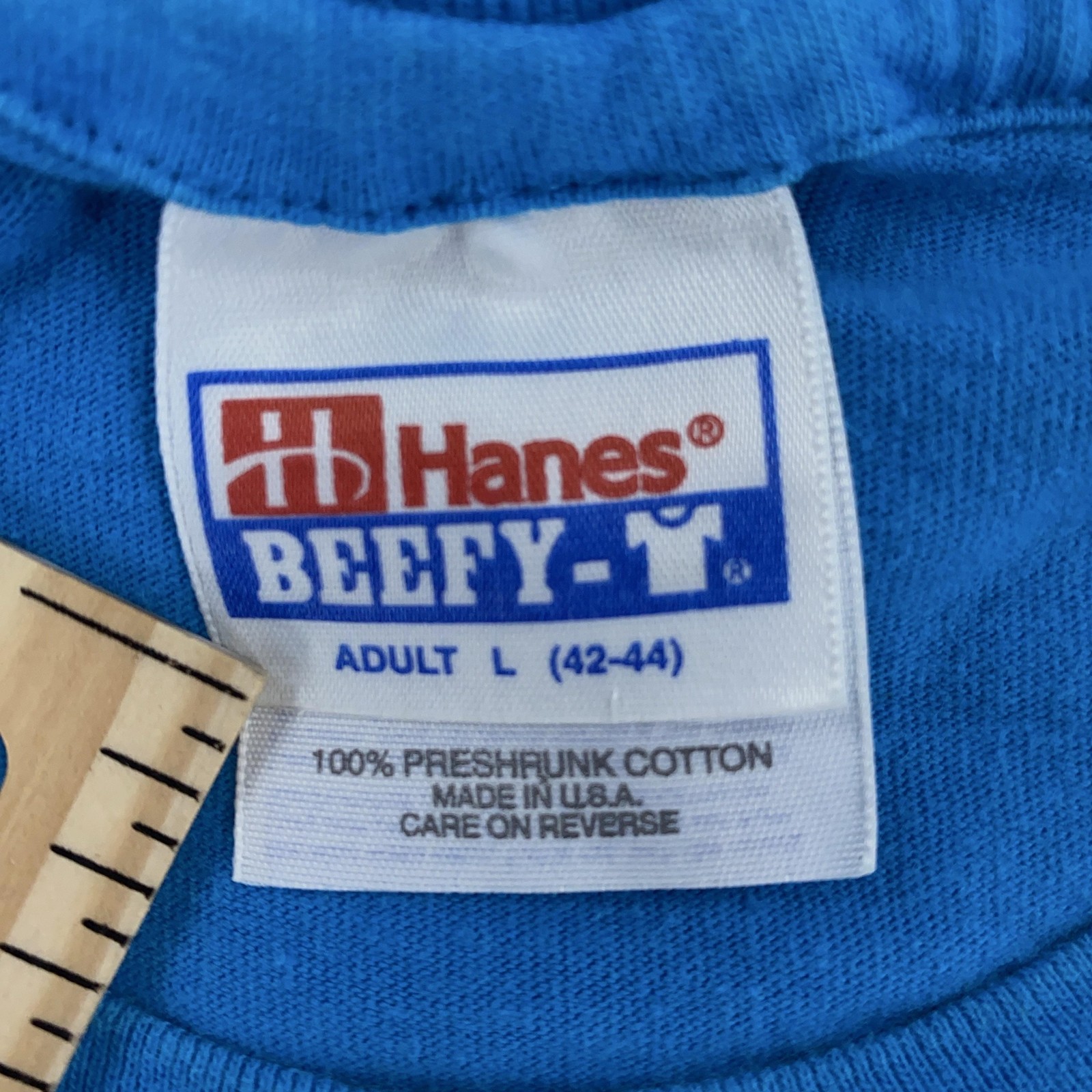 Vintage Arkansas The Natural State T-Shirt Mens Medium Hanes Beefy-T USA 90s