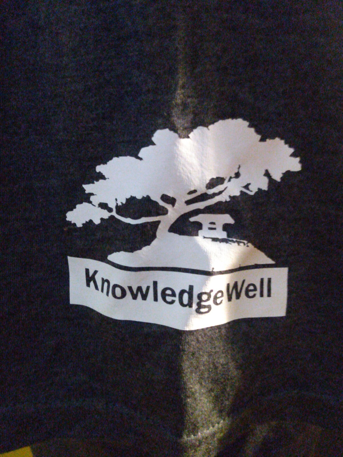 KnowledgeWell YOU PICKING UP WHAT I&rsquo;M PUTTING DOWN? T SHIRT GILDEN XL