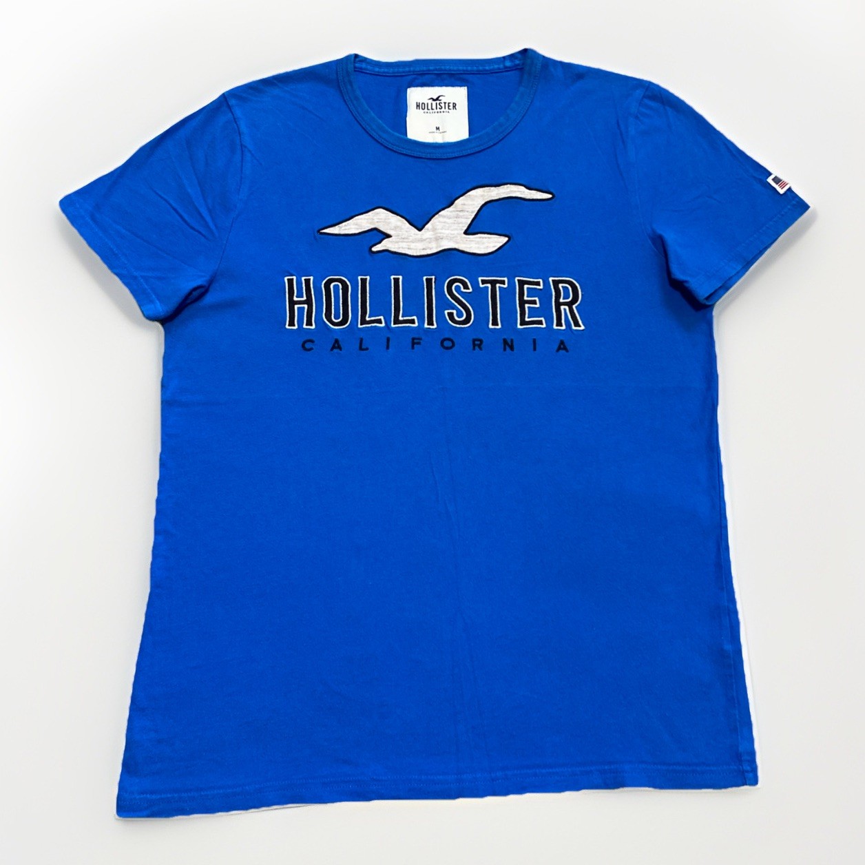 Hollister Y2K Men M Blue Short Sleeve Crew Tee Shirt Bird Logo Spell Out US Flag