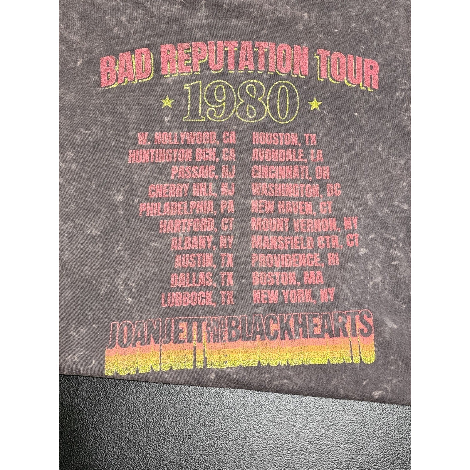 Joan Jett & The Blackhearts Bad Reputation Tour 1980 Graphic Tee Gray Large