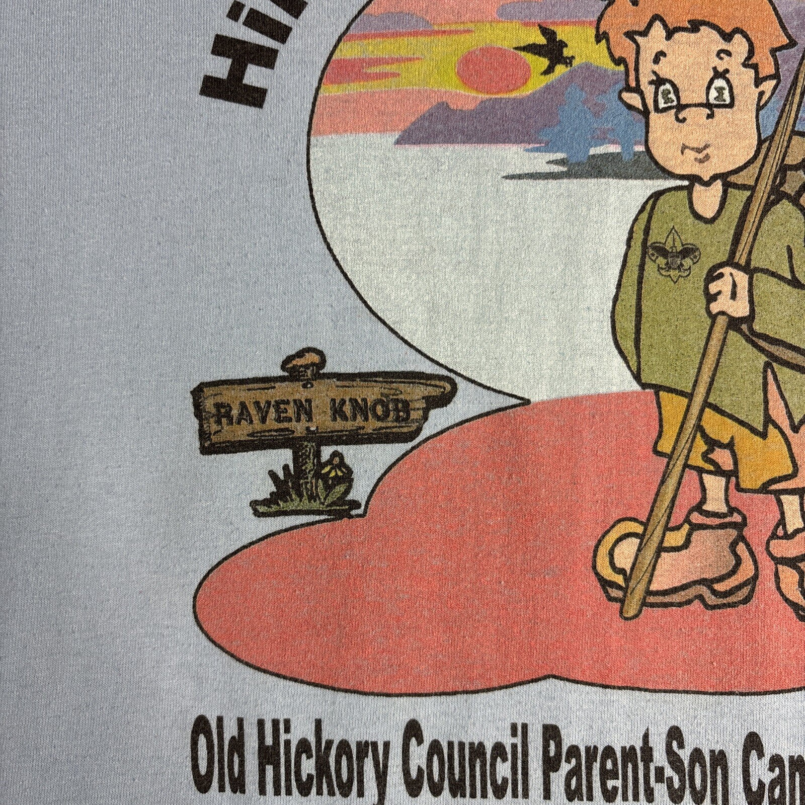 Vintage Y2K Boy Scout Tee M Hanes Heavyweight 50/50 Shirt Hiking Virginia Blue