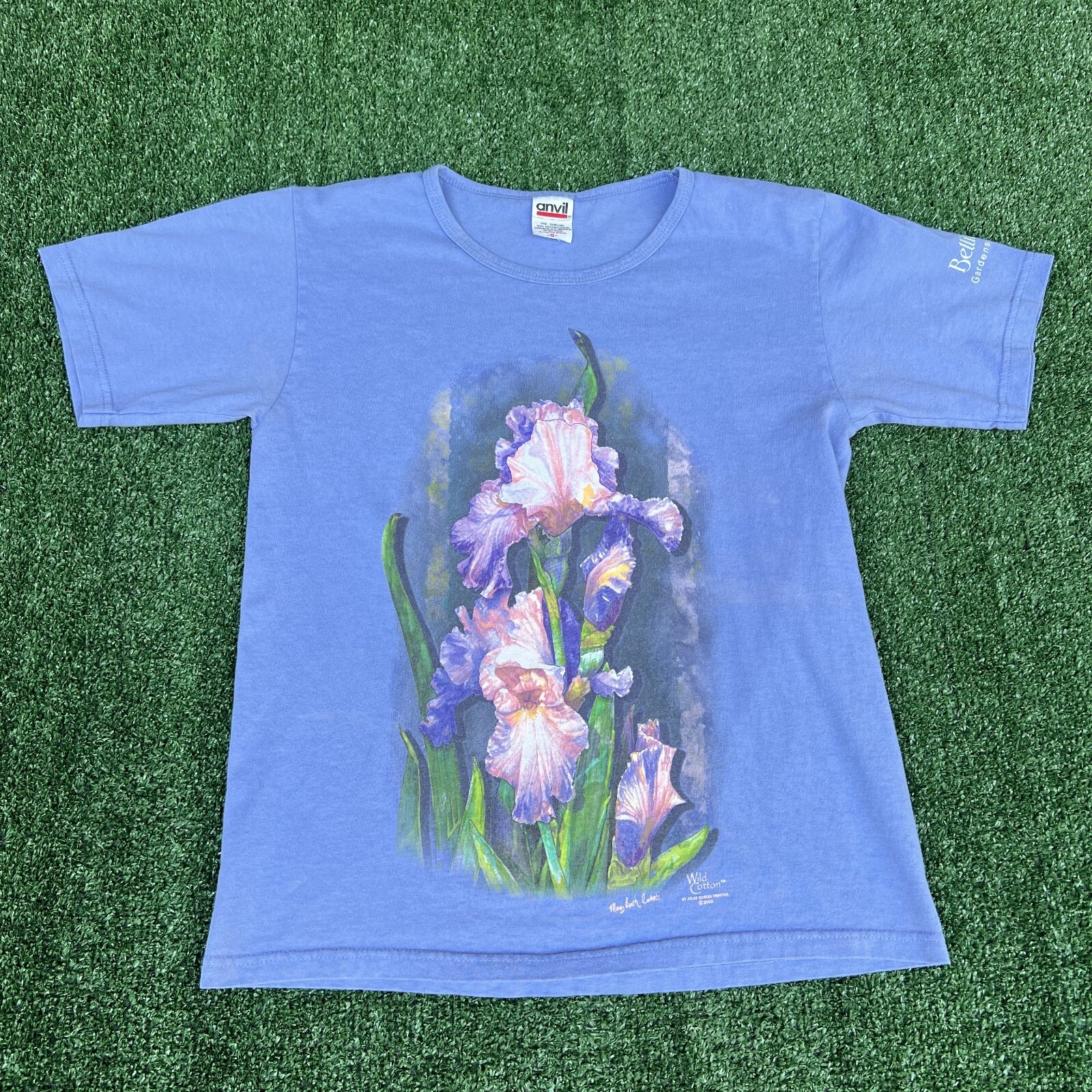 VTG State Nature T-Shirt Mens L / XL Blue Purple Black Florida West Virginia 90s