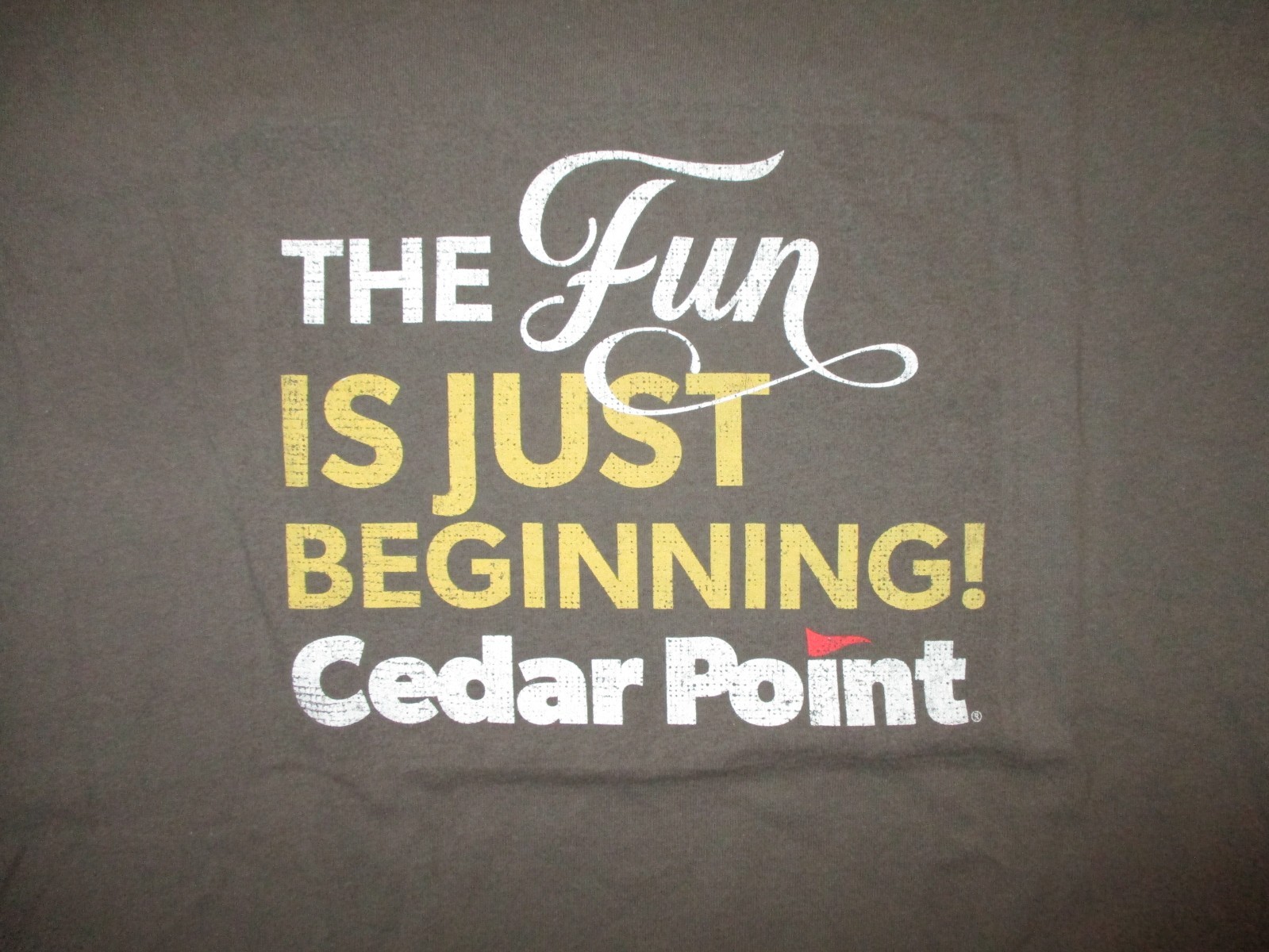 CEDAR POINT FUN IS JUST BEGINNING T SHIRT Amusement Park Roller Coaster MEDIUM