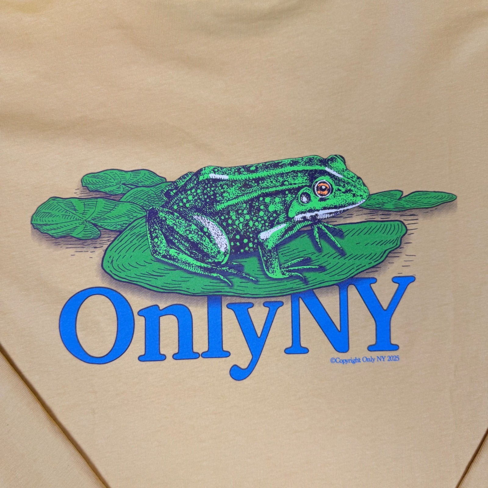 Only NY Bullfrog Graphic Long Sleeve T-Shirt Mens Med Yellow Cotton Streetwear