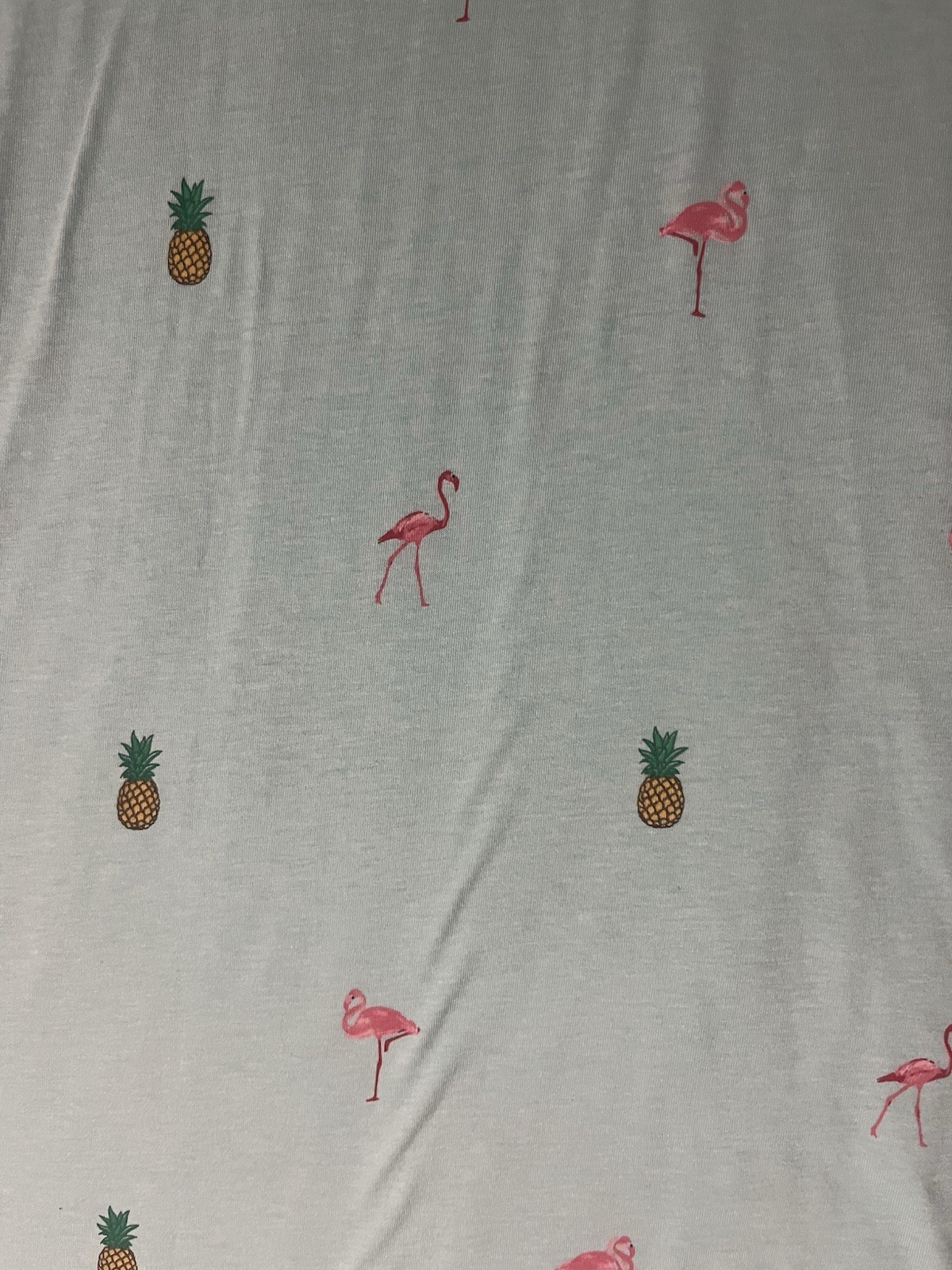Free Planet Men&rsquo;s Size XL Teal Shirt Flamingos Pineapples