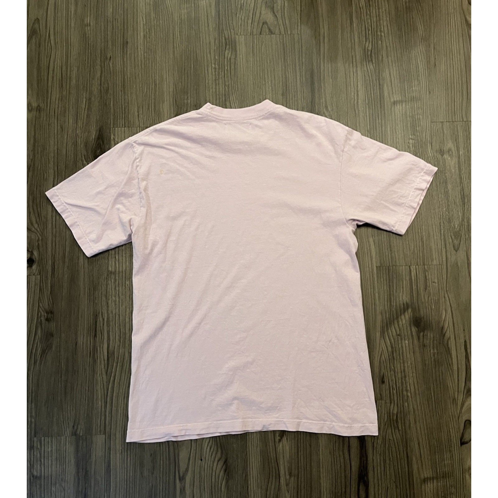 APLASTICPLANT Size Medium Shirt A Plastic Plant Pink Car Plants Instagram Page