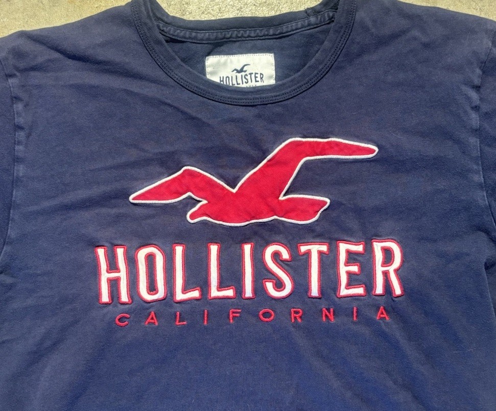 Hollister Men&rsquo;s L T-Shirt Blue Short Sleeve Crew Neck Graphic Logo California
