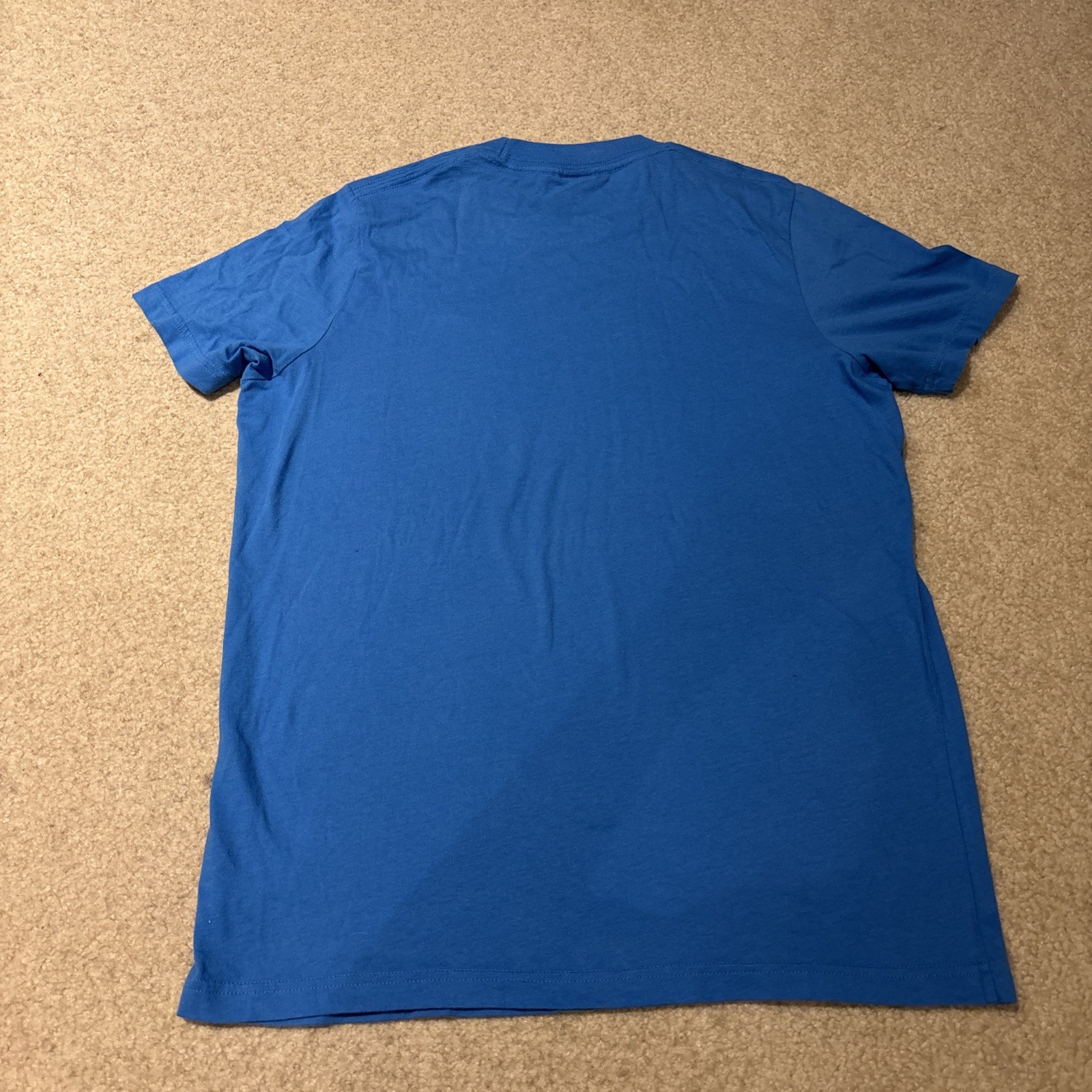 Hollister California Blue Short Sleeve T-Shirt Mens Size XL Green Bird Logo