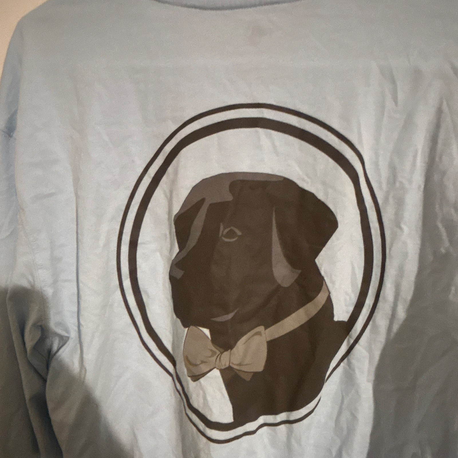 Southern Proper Men&rsquo;s Light Blue Dog Logo Graphic Crew Neck Pocket Tee L