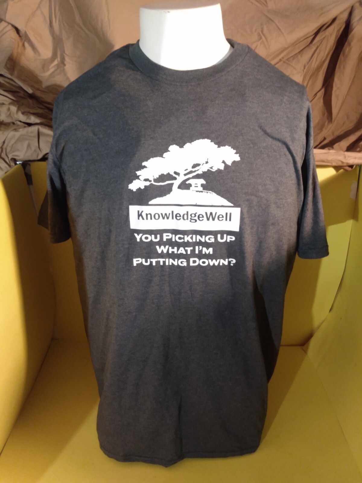 KnowledgeWell YOU PICKING UP WHAT I&rsquo;M PUTTING DOWN? T SHIRT GILDEN XL