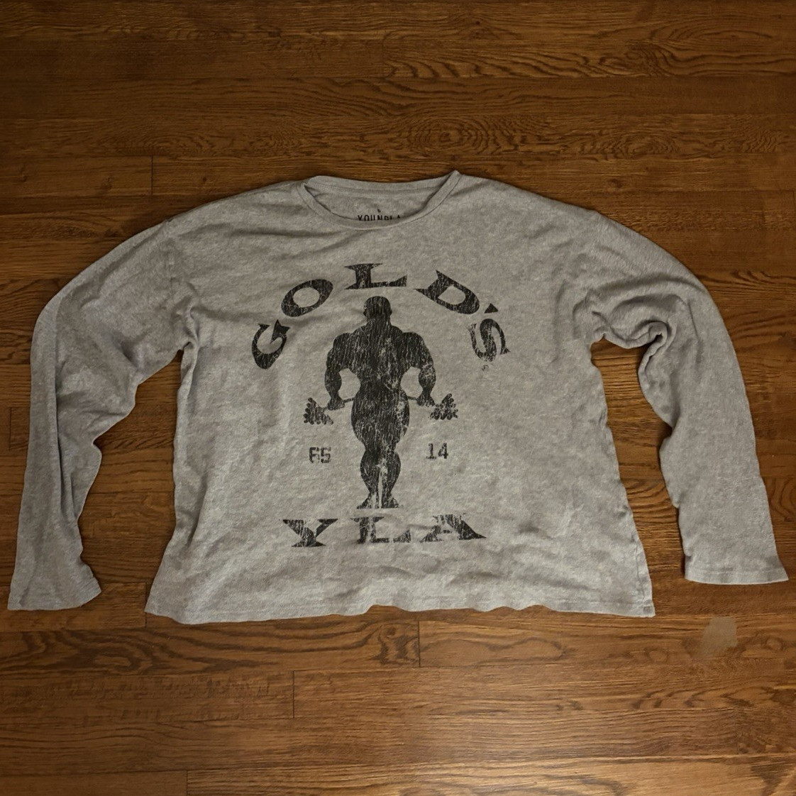 YoungLA X Golds Gym Men&rsquo;s L Gray Crew Neck Long Sleeve Logo T-Shirt Regular