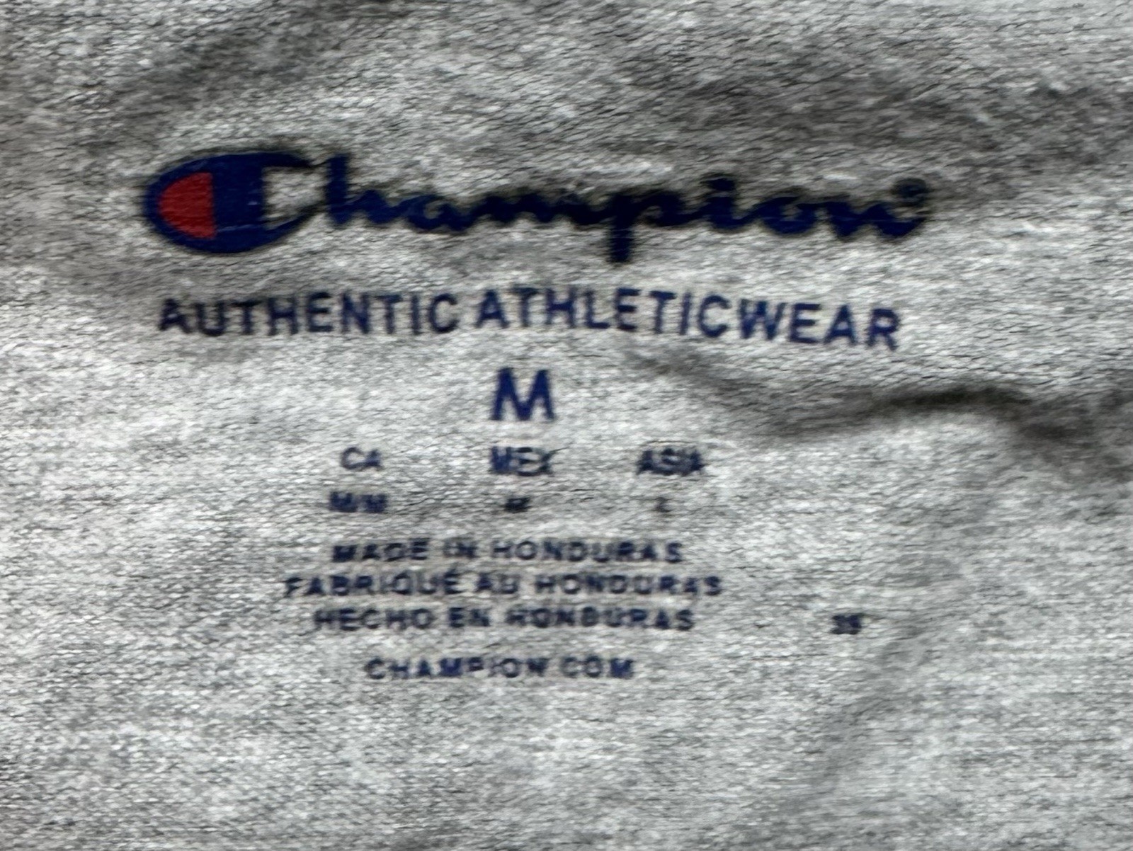 Champion Men&rsquo;s Gray Logo Graphic Print T-Shirt Crew Neck Short Sleeve Size M