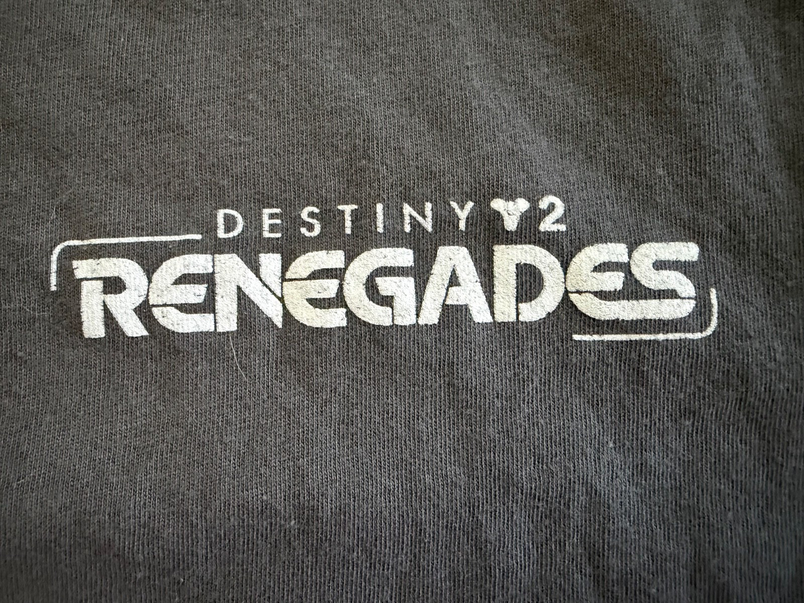 Destiny 2 Renegades T Shirt Mens Large Gray Dev Team Crew Promo
