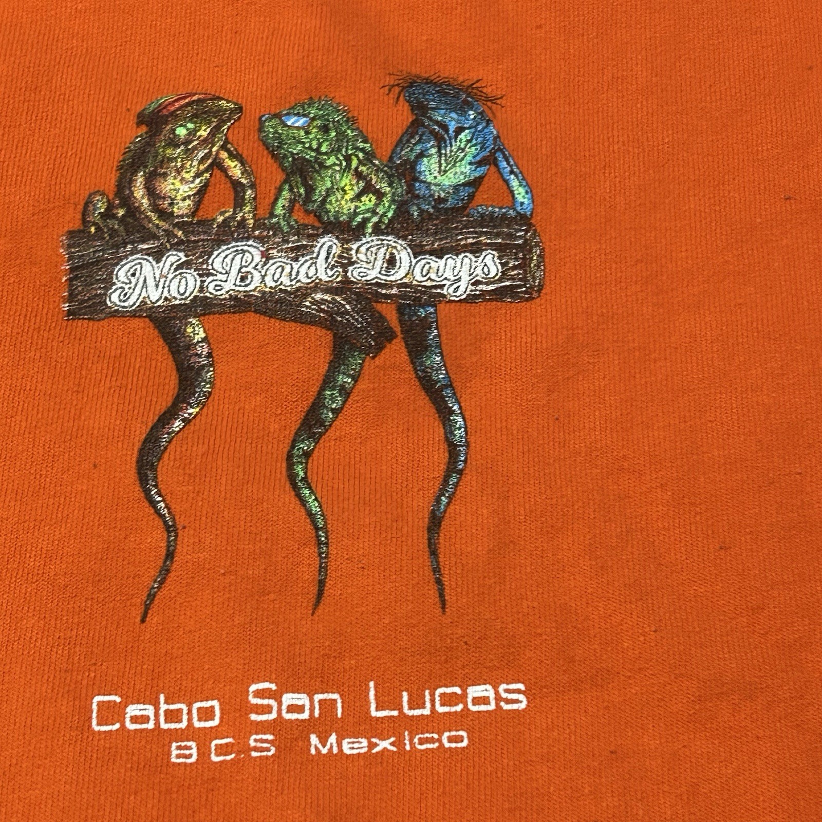 Vintage Graphic T-Shirt Iguanas Double Sided Men’s Large Heavyweight Cotton