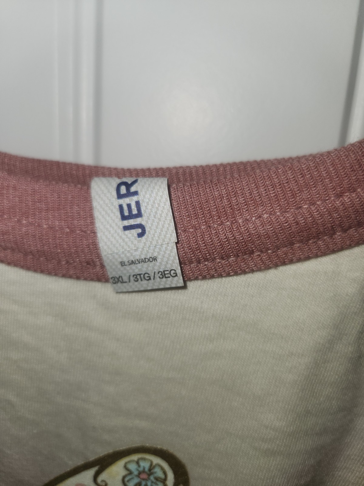 Women&rsquo;s 3XL Long Beige/Pink Raglan Crew T-Shirt Butterfly Fearless Joshua 1:9