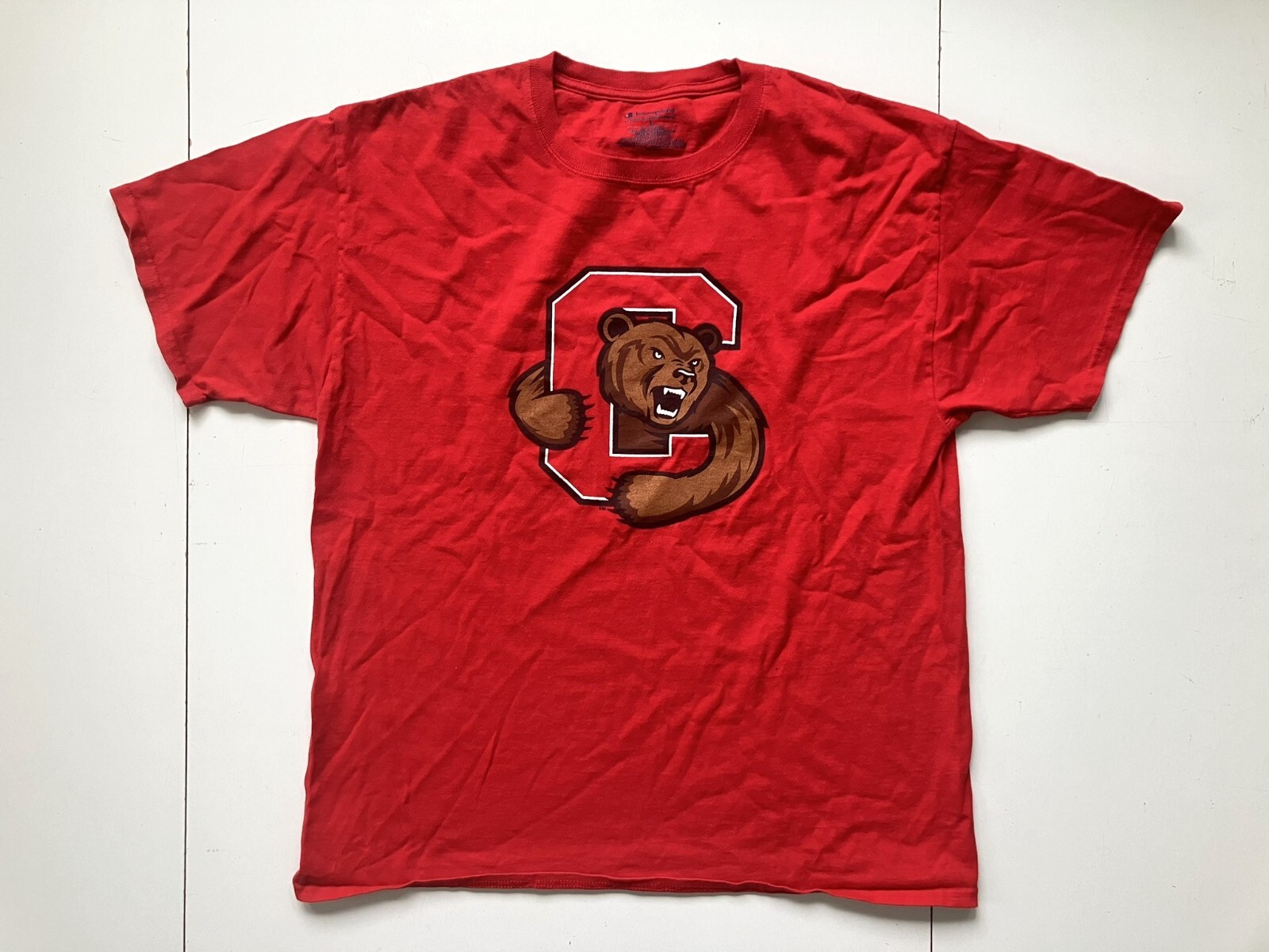 CORNELL UNIVERSITY Red IVY LEAGUE COLLEGE T-SHIRT Ithaca New York Fan Adult L