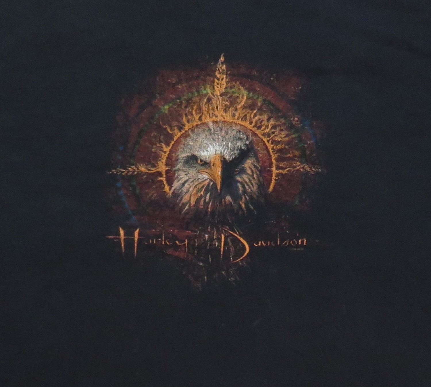 Harley Davidson Vintage T Shirt 2003 Pacific Honolulu Hawaii Eagle Biker Y2K