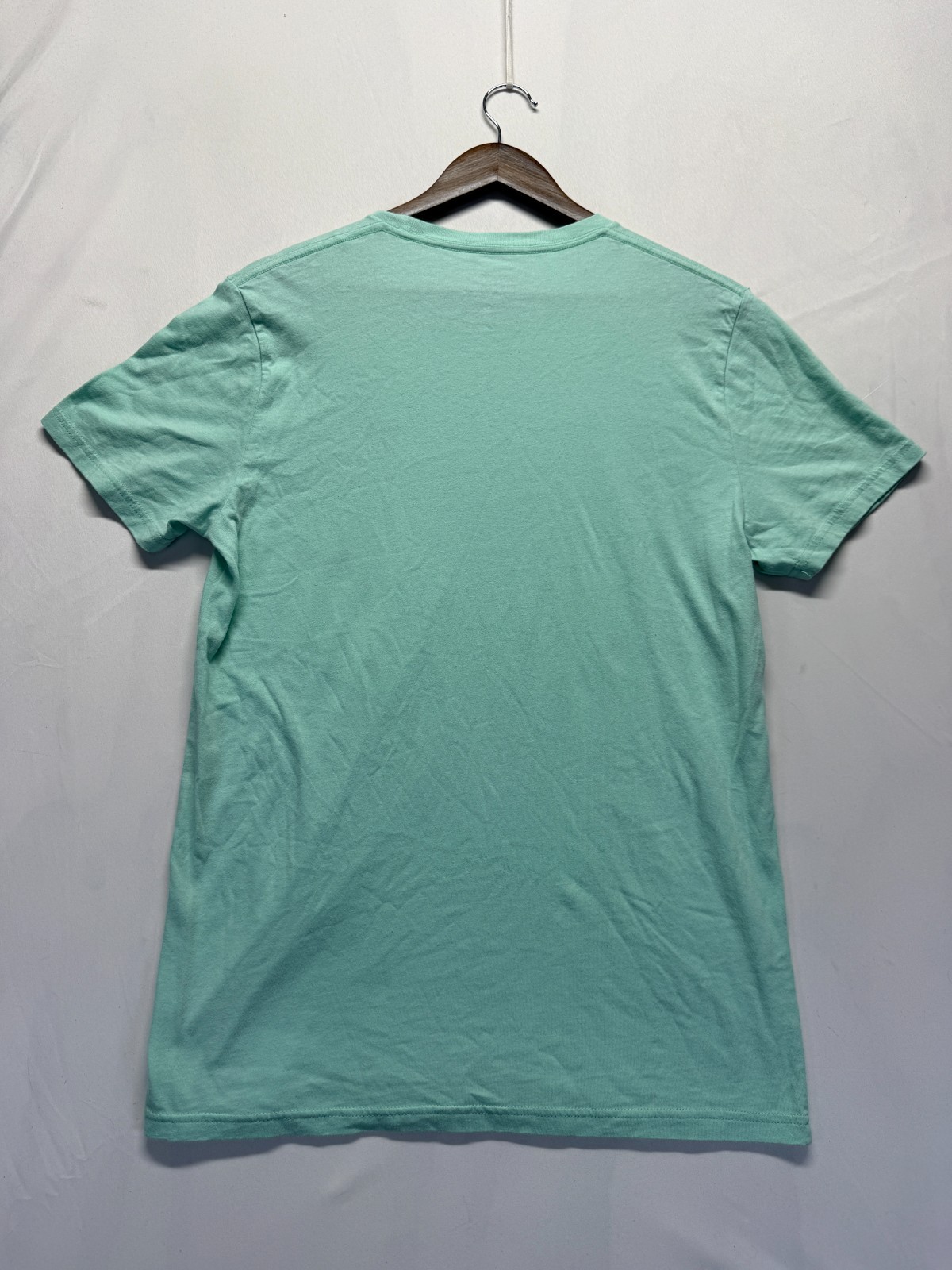 Hollister Must Have Collection T Shirt Mens Medium Mint Green Embroidered Logo