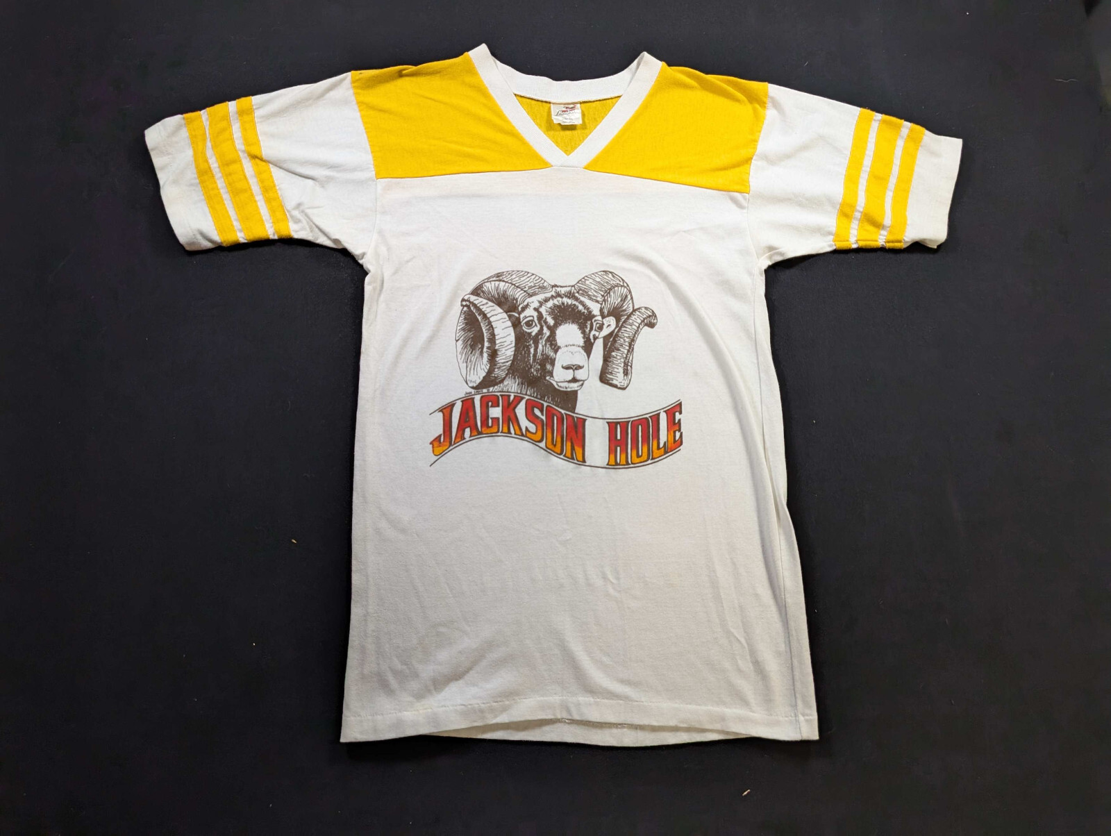 80s Bantam Jackson Hole Goat T-Shirt Size Small Yellow White Striped V-Neck
