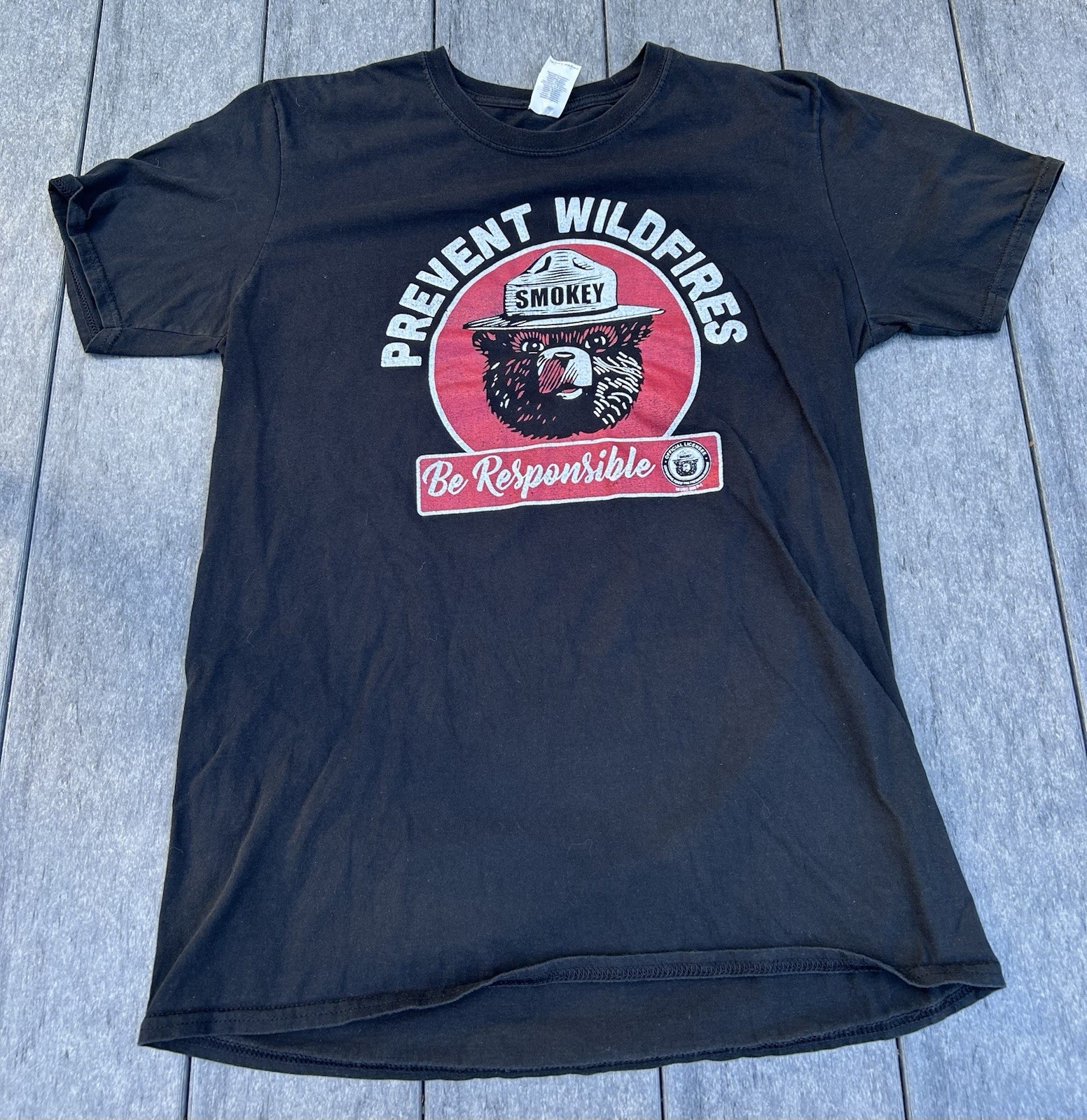 Gildan Smokey Bear Prevent Wildfires Be Responsible Men’s L Black T-Shirt