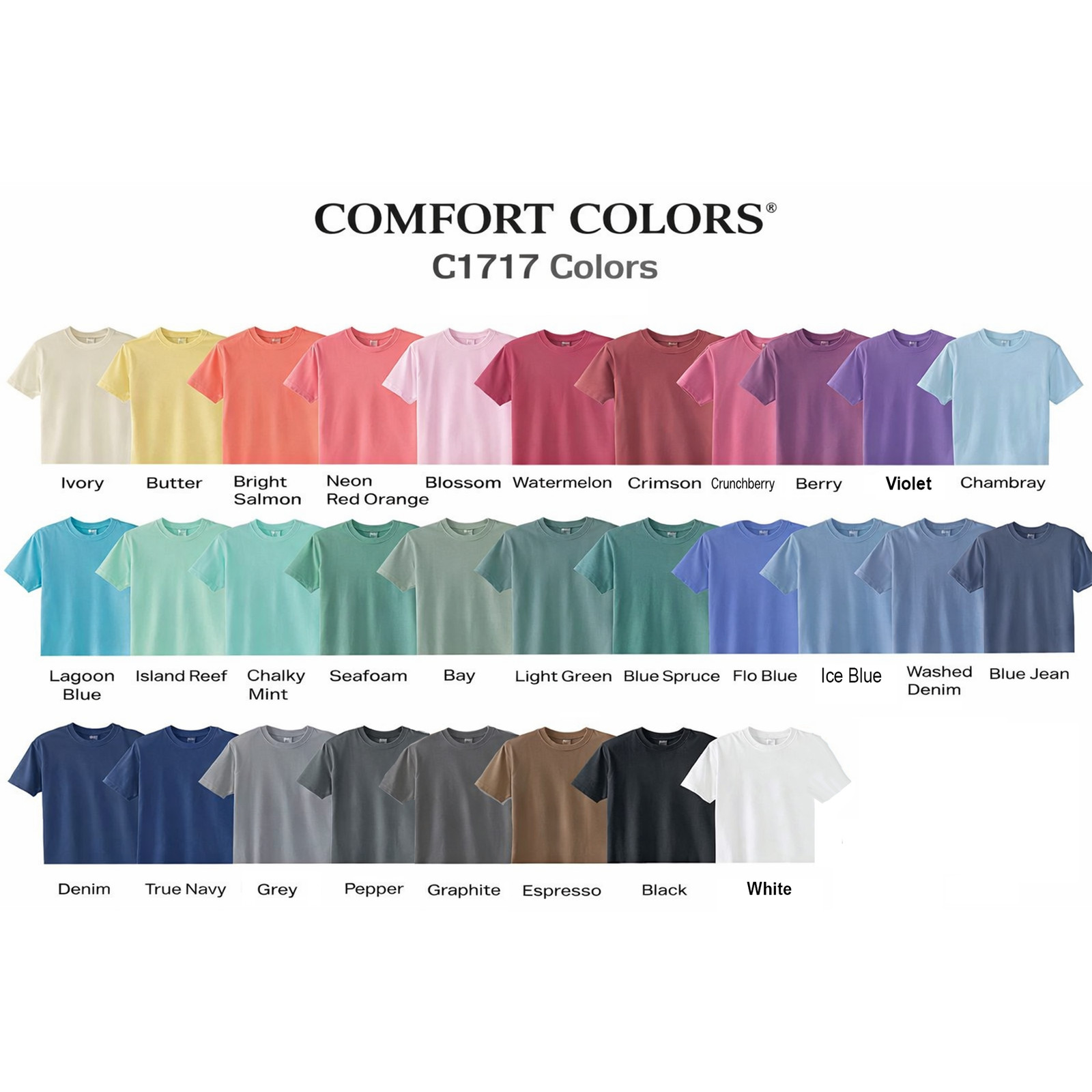 Neon Vanguard Tee – Comfort Colors C1717 – Adult Heavyweight Short Sleeve