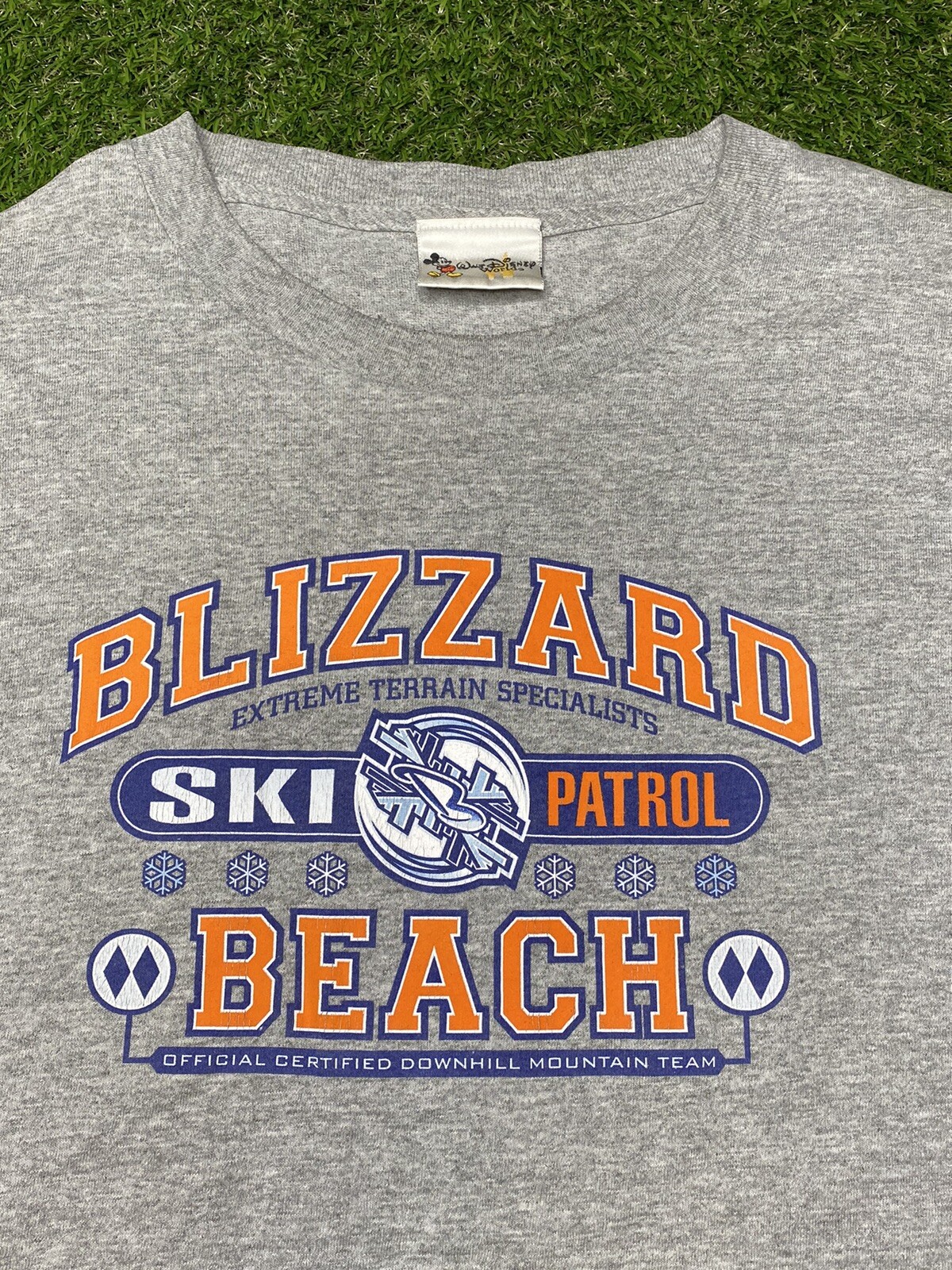 Disney Blizzard Beach L/S Shirt Men’s Resort Waterpark Size L Gray Walt World