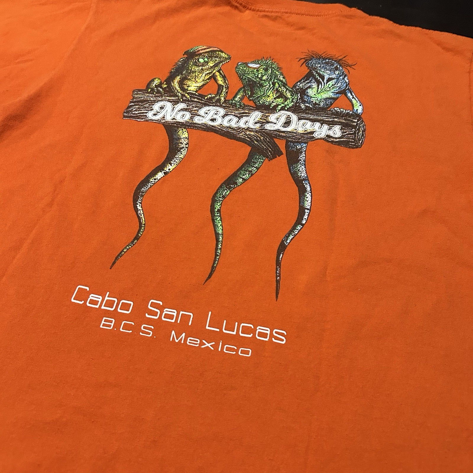 Vintage Graphic T-Shirt Iguanas Double Sided Men’s Large Heavyweight Cotton