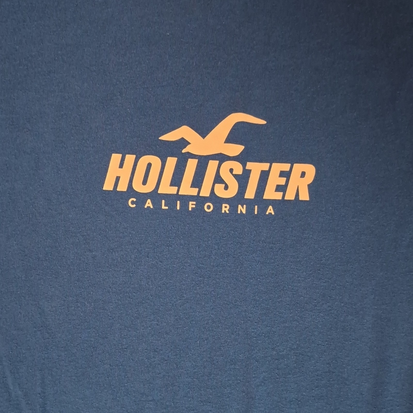 Hollister Men&rsquo;s XL Blue Graphic Logo California Short Sleeve Crew Neck Tee