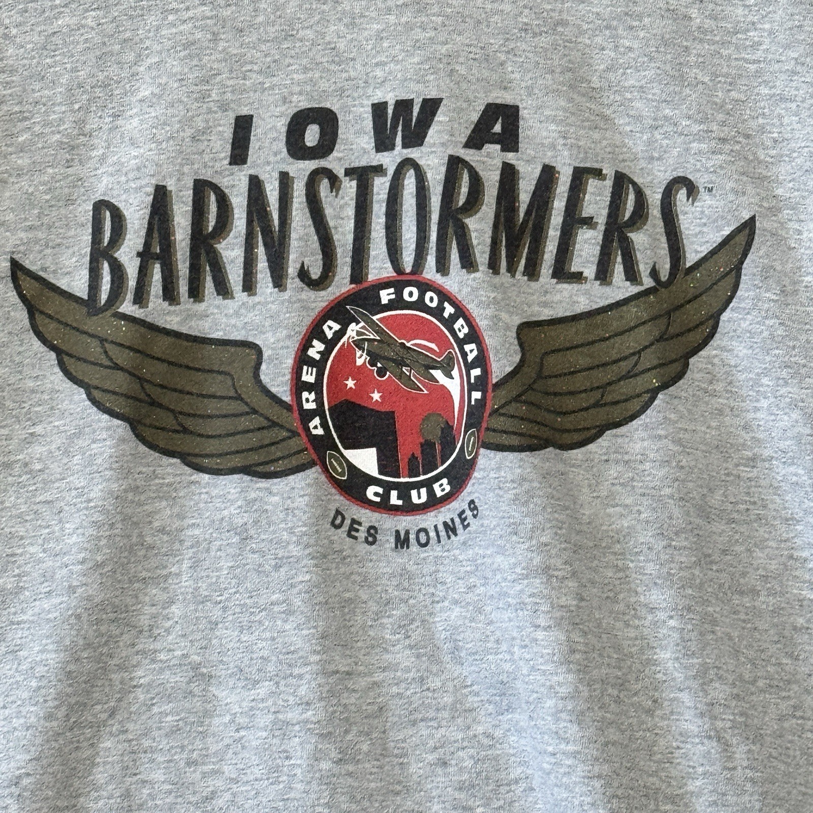 Vintage Iowa Barnstormers Gray T-Shirt Arena Football Team Champ Mens XL Graphic