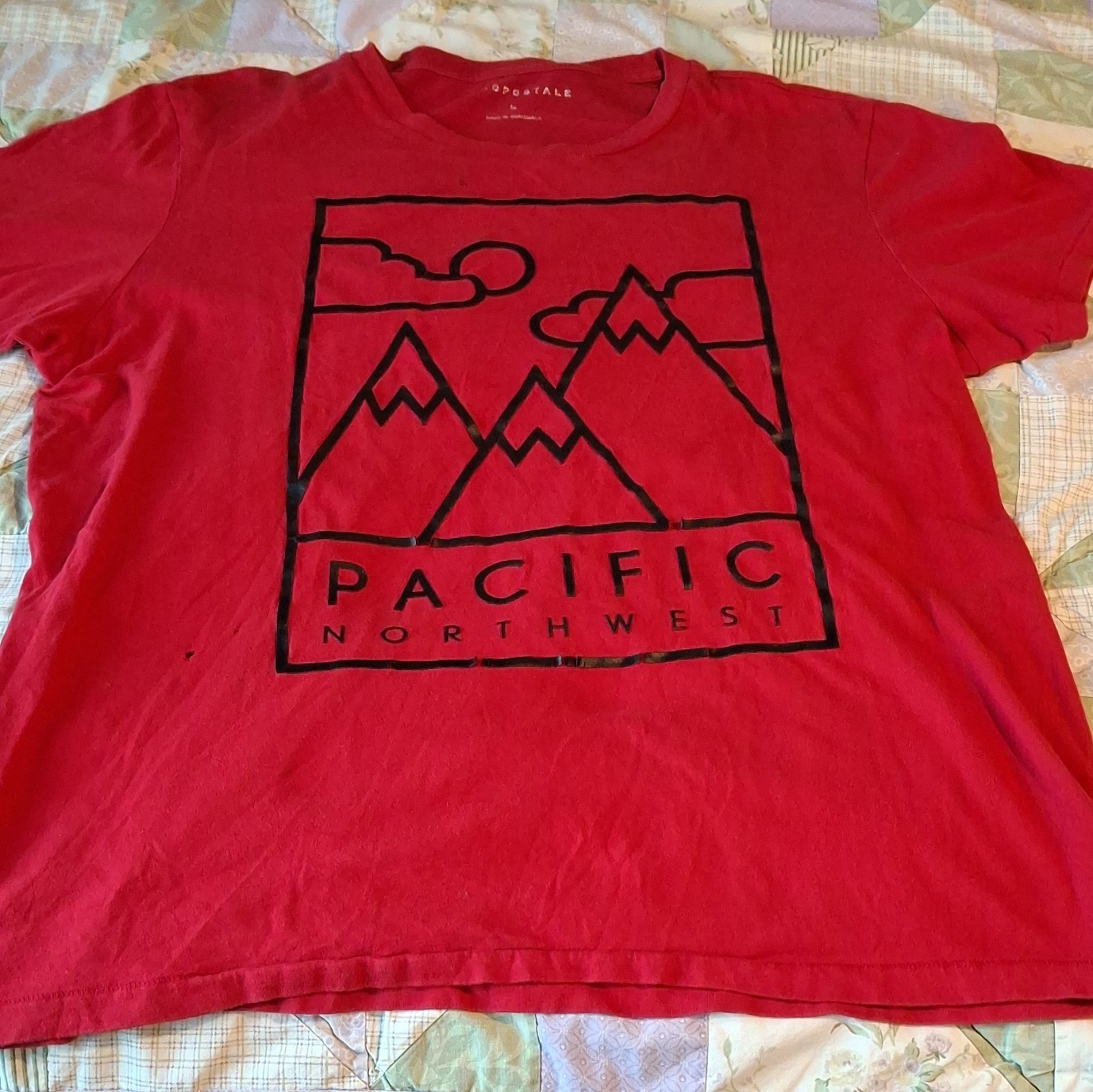 Aéropostale Men&rsquo;s Single Stitch Pacific Northwest Nature Graphic Tee Size L