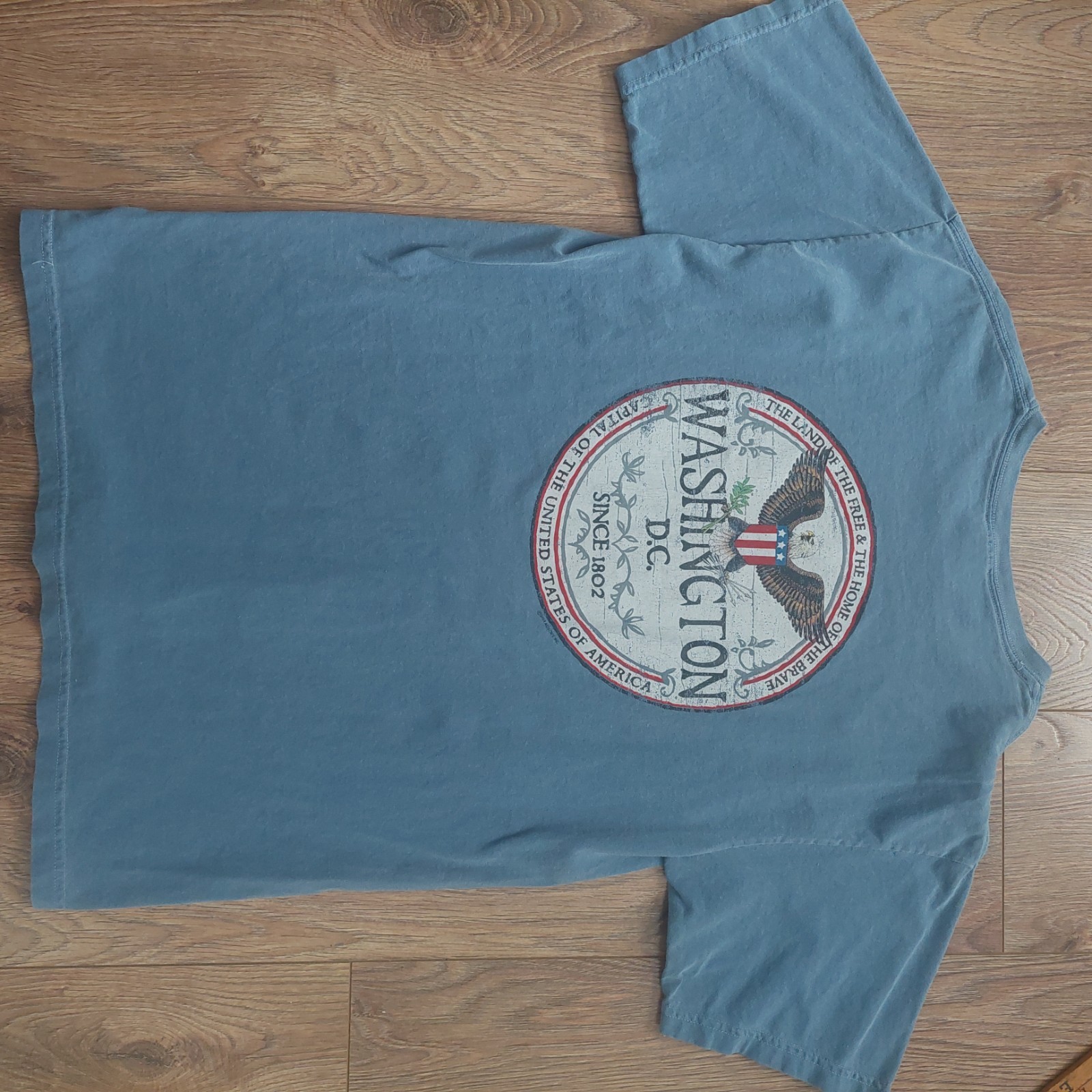 Blue Comfort Colors Washington DC USA VTG M S tag L Free Shipping Faded Men