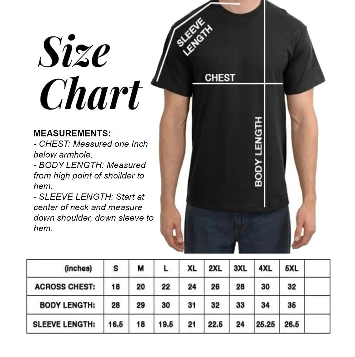 Mt Joy Celebrating 10 Years World Tour 2026 T-Shirt or Hoodie Unisex