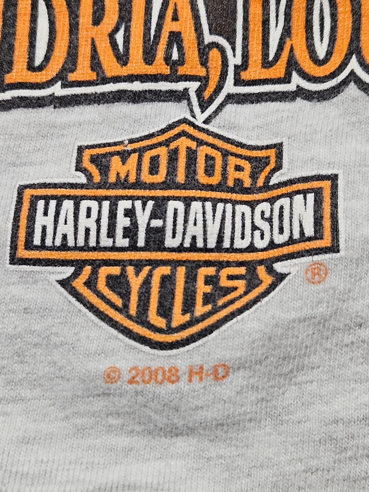 Vintage 2000 Harley Davidson Renegade Alexandria Louisiana T Shirt XL Hanes Beef