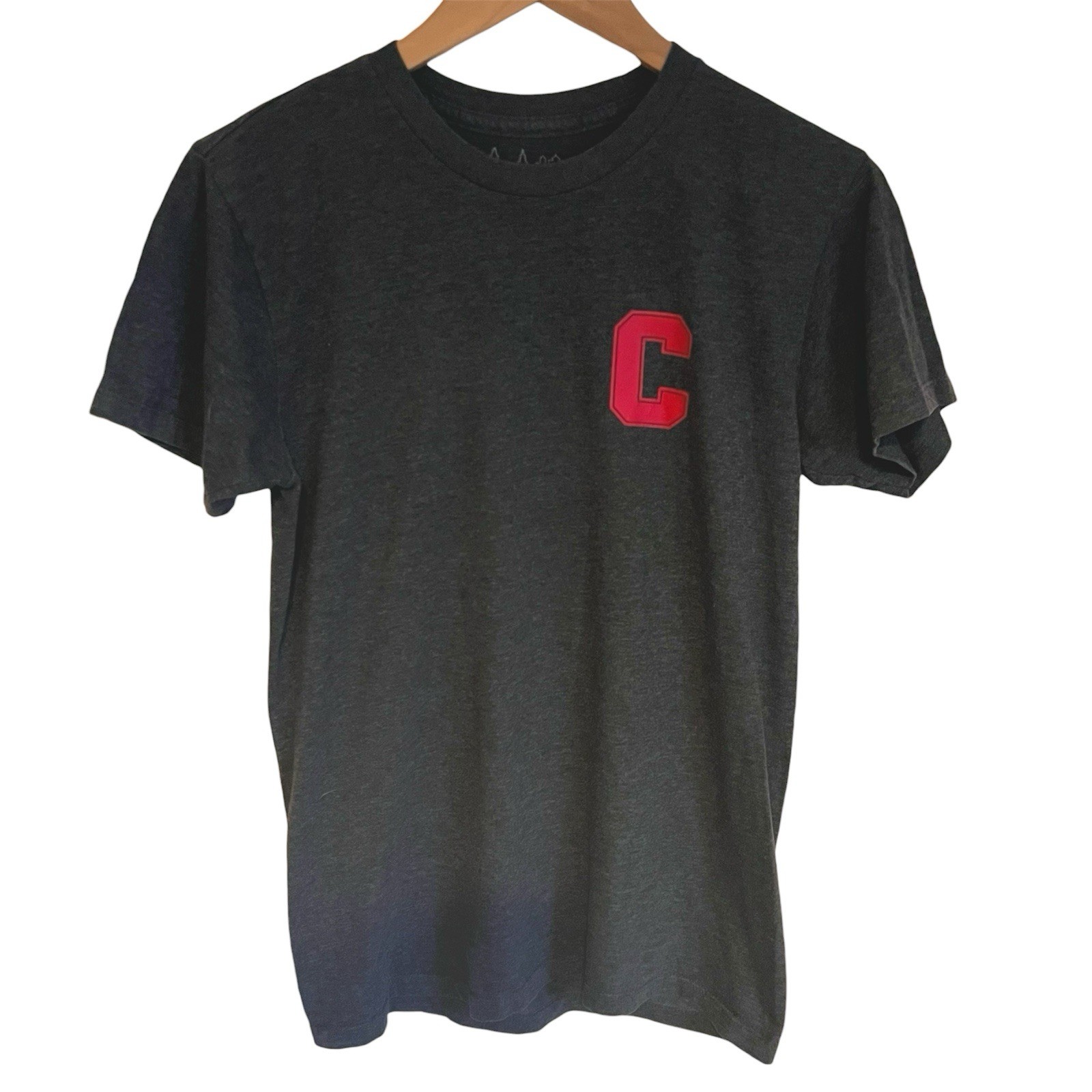 Cornell University Big Red C T-Shirt Men’s Small Gray Preppy Ithaca NY IvyLeague