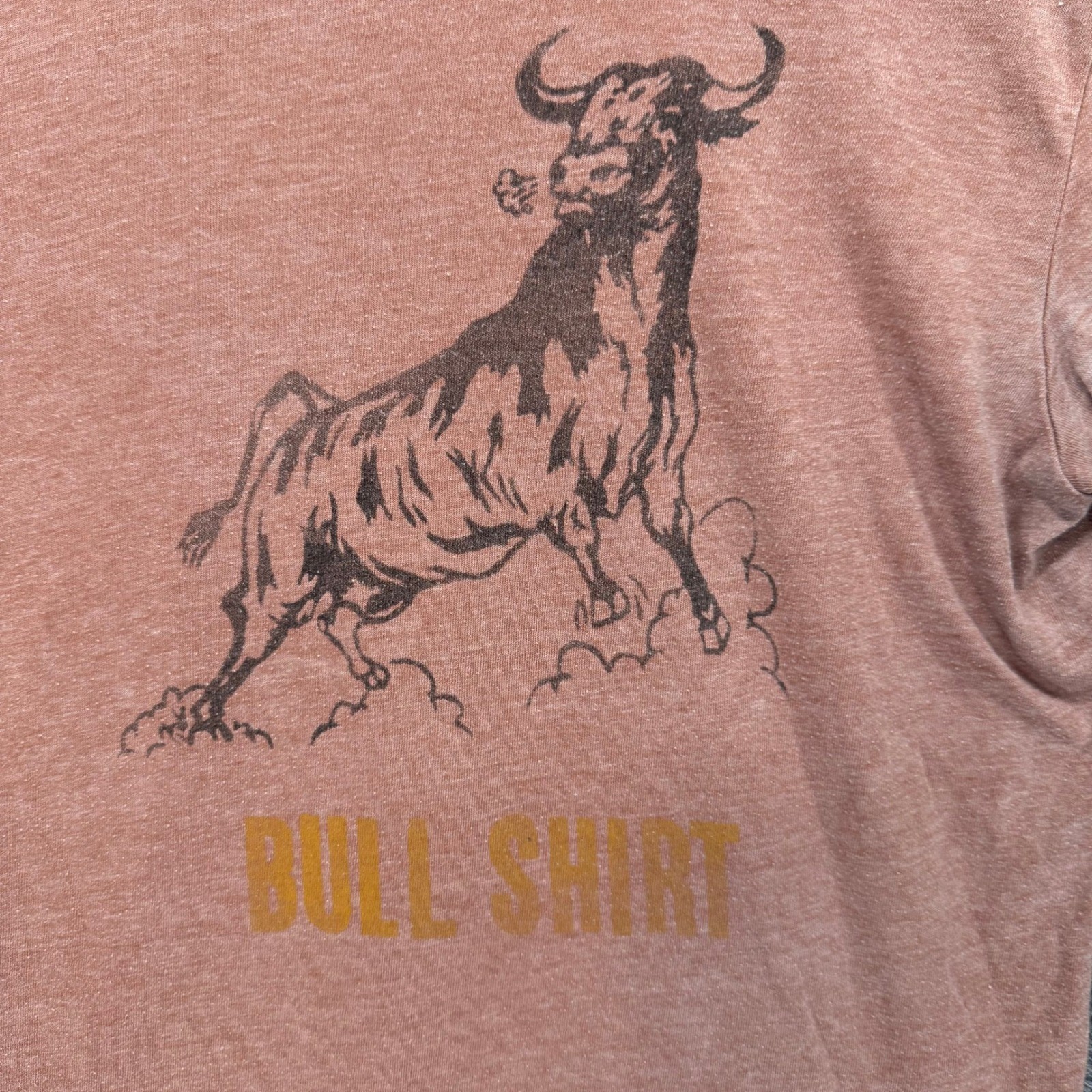 Lucky Brand Tshirt Mens Medium Orange Bull Graphic Venice Burnout Tee Casual