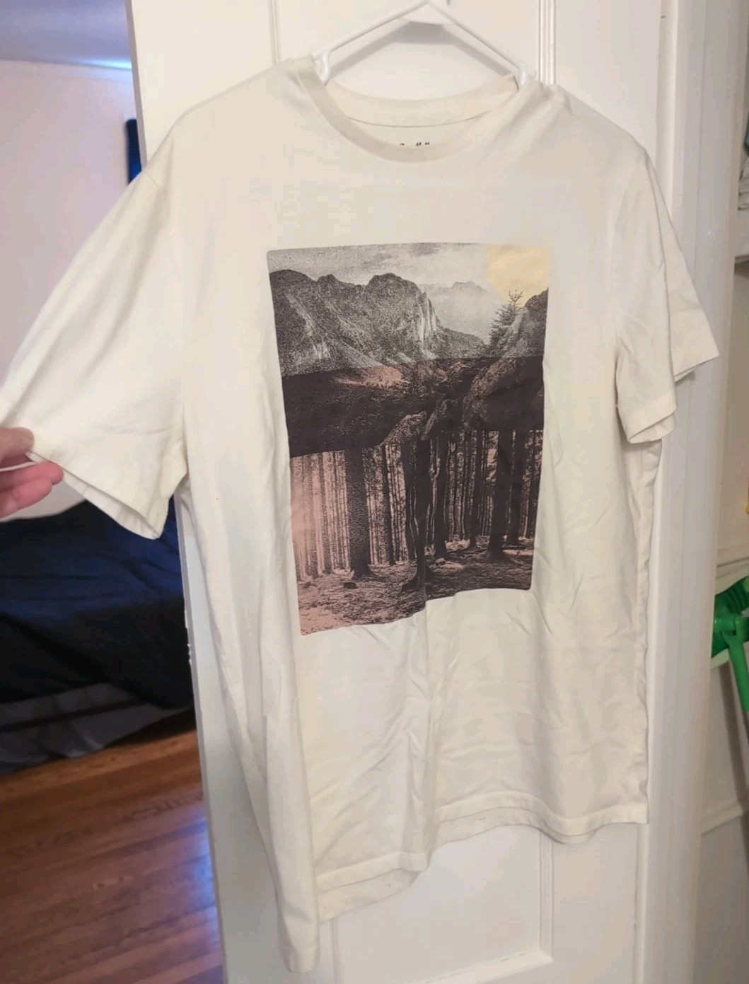 Mens L Graphic T Shirt short Sleeve cream color Mountains Trees Forest Floor