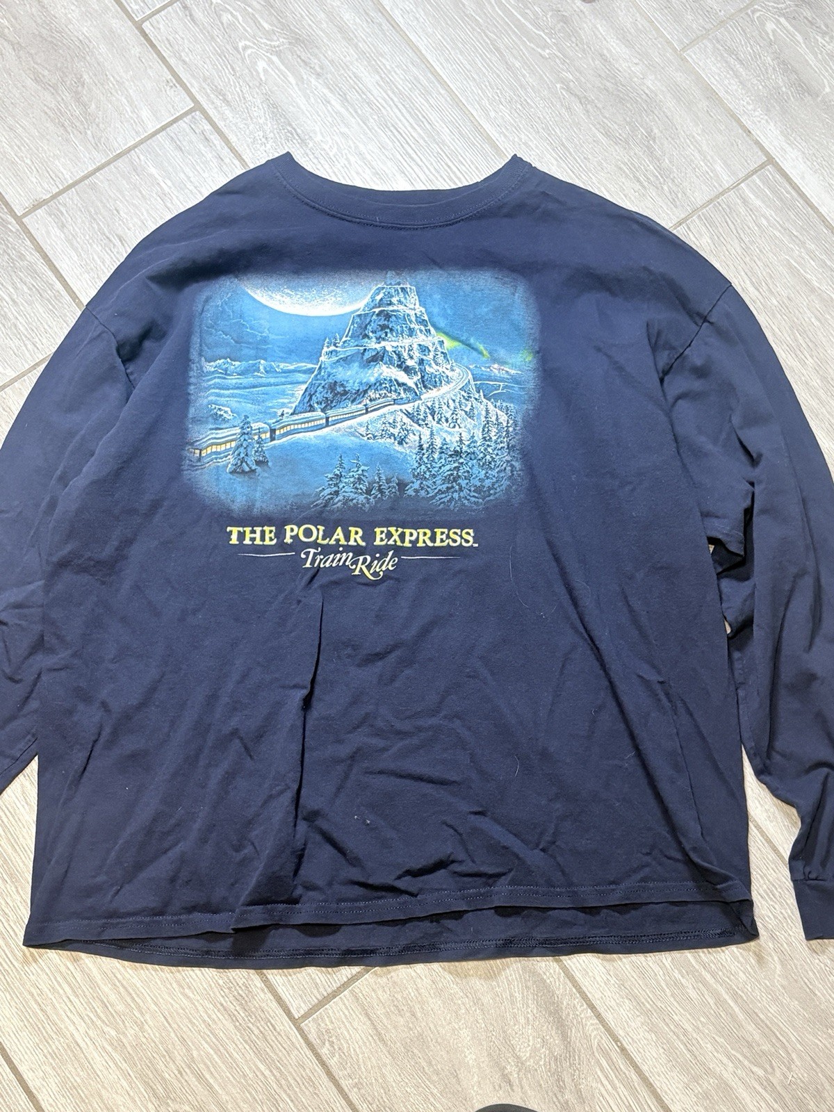 The Polar Express Believe Graphic Print Long Sleeve Blue Cotton T-Shirt Mens 2X