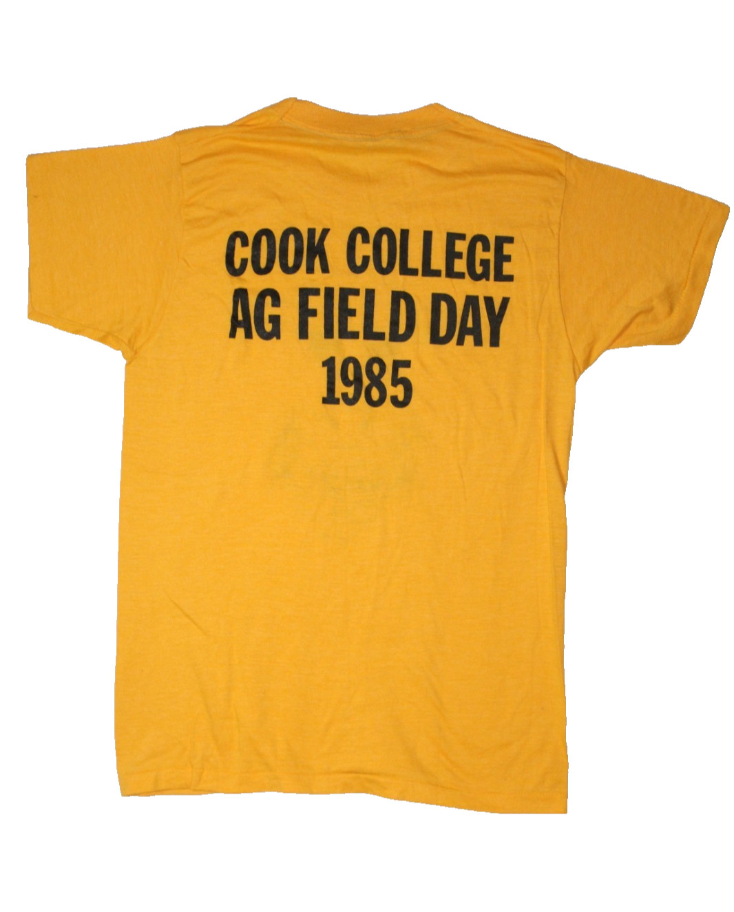 True Vintage 80s Cook College Rutgers T Shirt Beef Agriculture Fits XS Stitch
