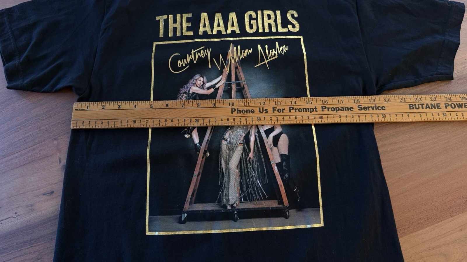 The AAA Girls Access All Areas Tour T Shirt Mens M Black Courtney Willam Alaska