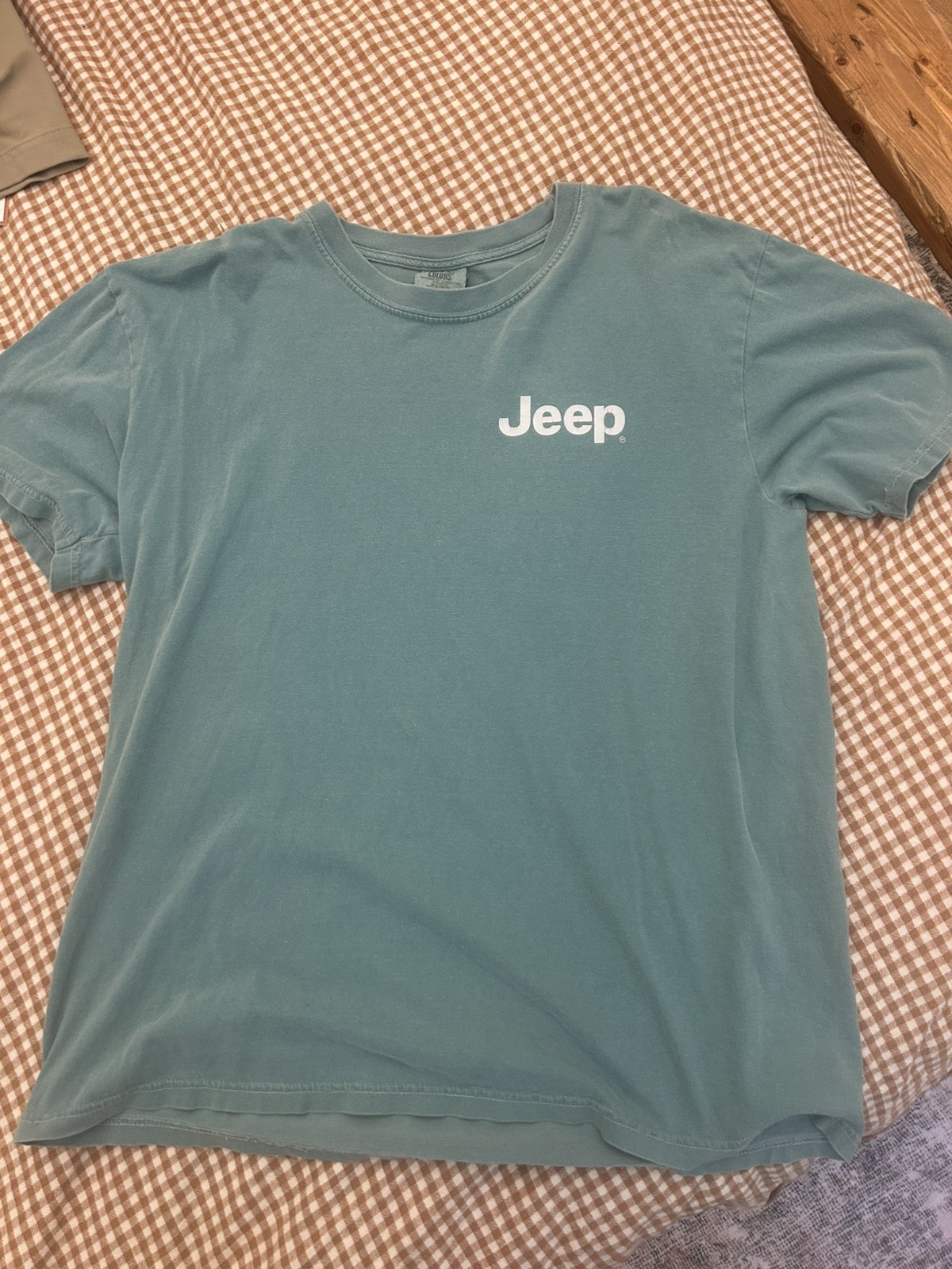 Jeep Dog Buddy T-Shirt Size L Comfort Colors Shirt Screen printed design