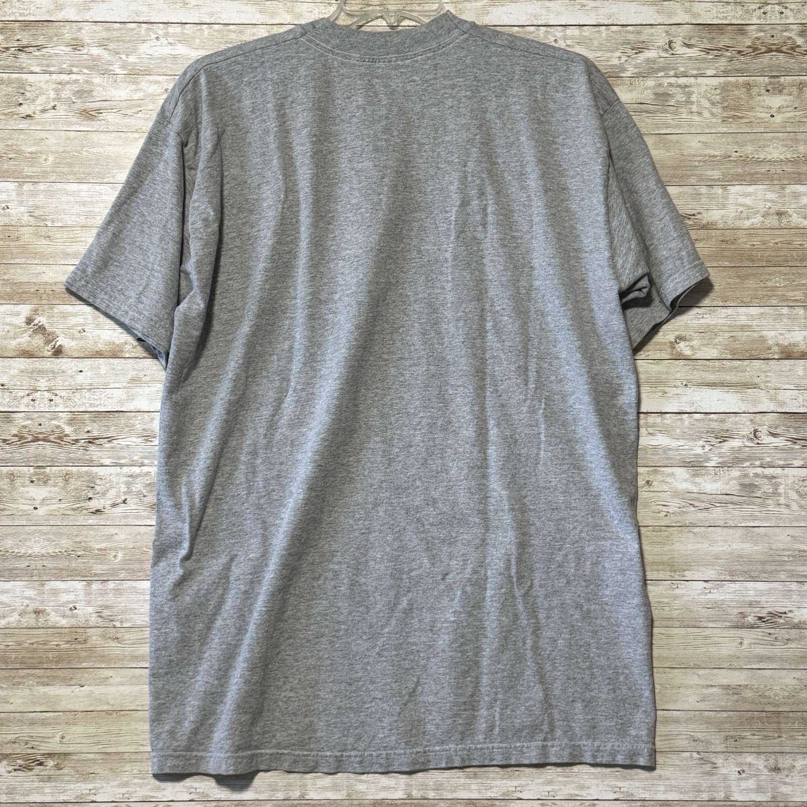 Vintage Iowa Barnstormers Gray T-Shirt Arena Football Team Champ Mens XL Graphic