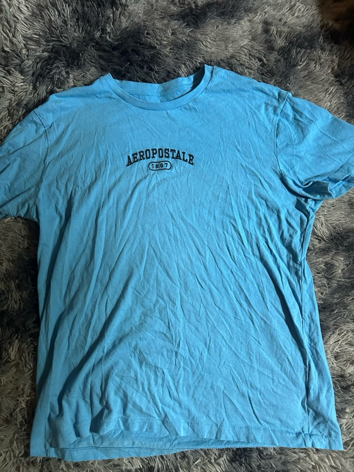 Aéropostale Men&rsquo;s Blue Graphic Logo Crew Neck Short Sleeve T-Shirt L