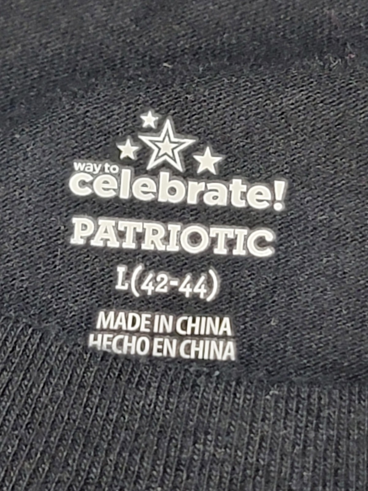 Way To Celebrate Patriotic Eagle T-Shirt Men&rsquo;s L Black USA Flag « These Colors…