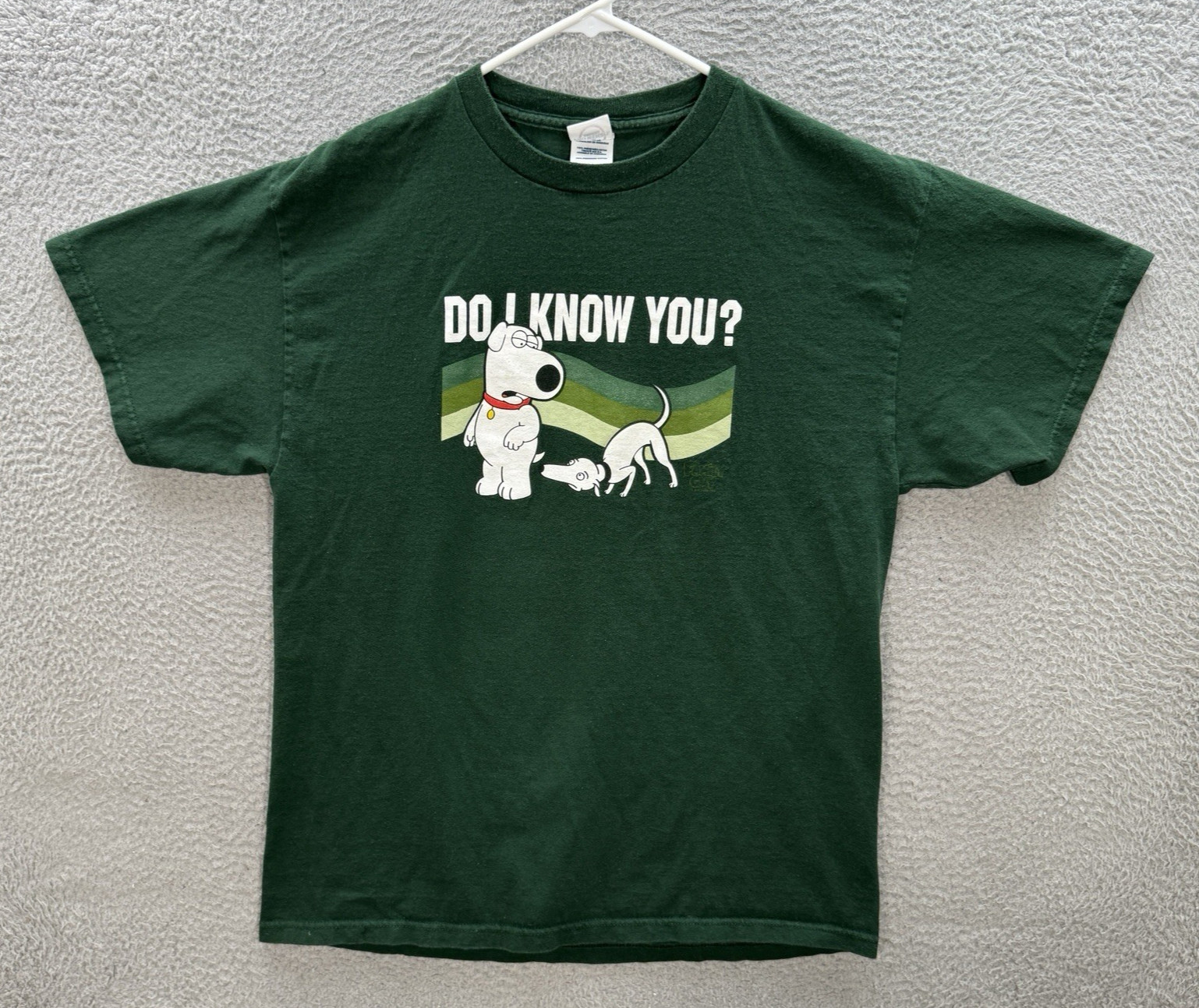 Vintage Delta Shirt Adult Large Green Family Guy Brian Griffin Grunge Skater Y2K