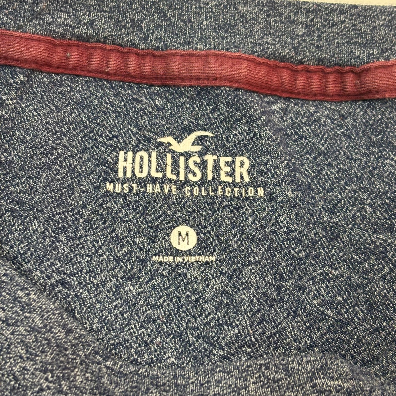 Hollister Must Have Collection Men’s Blue T-shirt Size Med Short Sleeve Logo