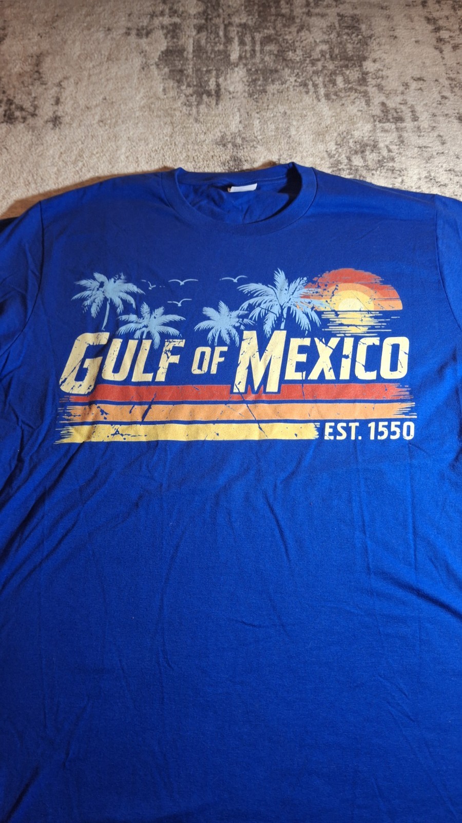 Gulf Of Mexico Retro Beach Present Unisex T-Shirt Blue Large Used