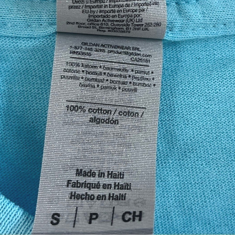 Gildan Fiesta San Antonio 2022 Graphic T Shirt Mens Small Blue Heavy Cotton Tee