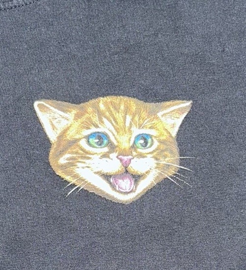 Nike SB Cat Scratch Graphic Skate Tee Loose Fit Black Size Large (Rare)
